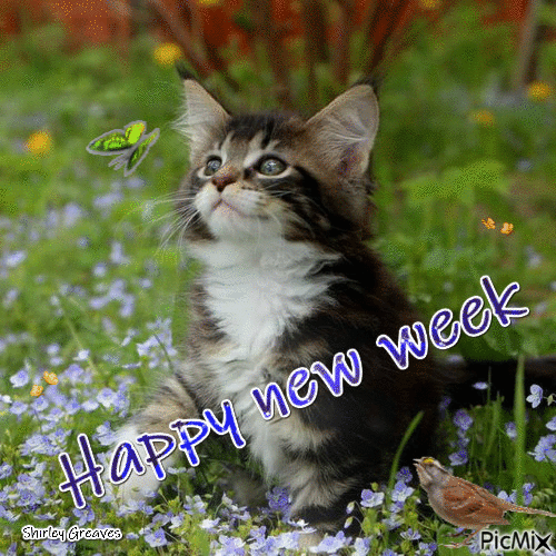 10 Lovely Happy New Week Animated Quotes & Sayings - picture 4