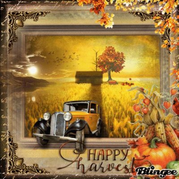 10 Lovely Happy Thanksgiving Quotes, Sayings And Gifs To Express Happiness And Gratitude - picture 11