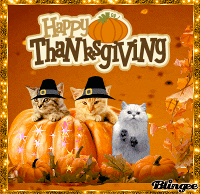 10 Lovely Happy Thanksgiving Quotes, Sayings And Gifs To Express Happiness And Gratitude - picture 6