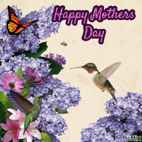 10 Lovely Mother's Day Gifs & Quotes To Show Mom How Much You Care - picture 2