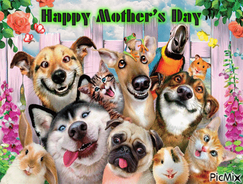 10 Lovely Mother's Day Gifs & Quotes To Show Mom How Much You Care - picture 9