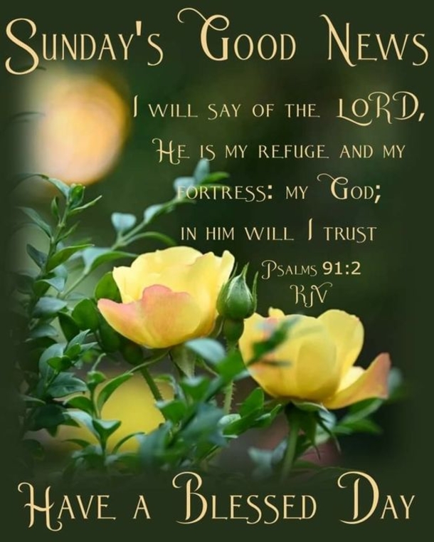 10 Lovely Sunday Greetings To Enjoy Your Day - picture 2