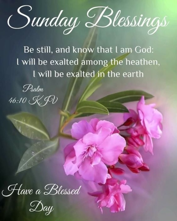 10 Lovely Sunday Greetings To Enjoy Your Day - picture 4