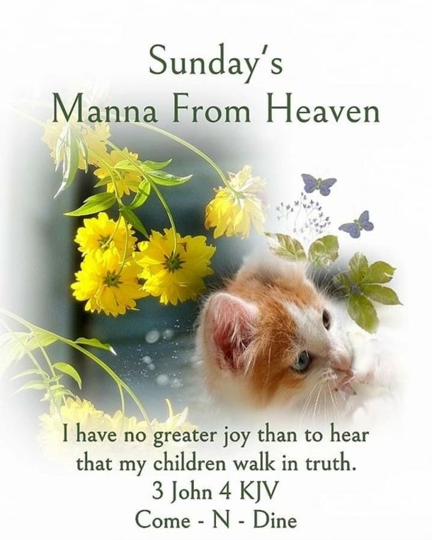 10 Lovely Sunday Greetings To Enjoy Your Day - picture 5
