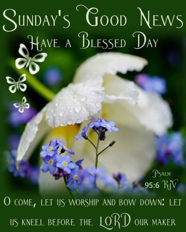 10 Lovely Sunday Greetings To Enjoy Your Day - picture 6