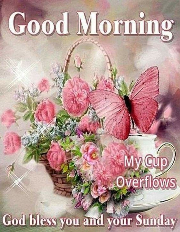 10 Lovely Sunday Greetings To Enjoy Your Day - picture 7