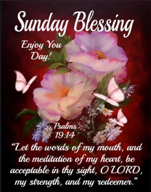 10 Lovely Sunday Greetings To Enjoy Your Day - picture 8