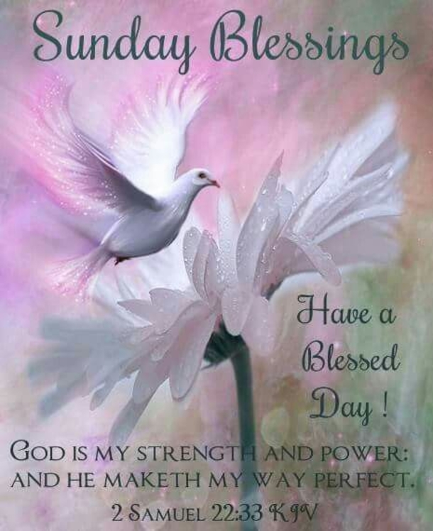 10 Lovely Sunday Greetings To Enjoy Your Day - picture 9