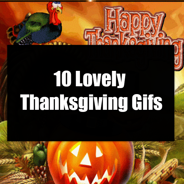 10 Lovely Thanksgiving Gifs