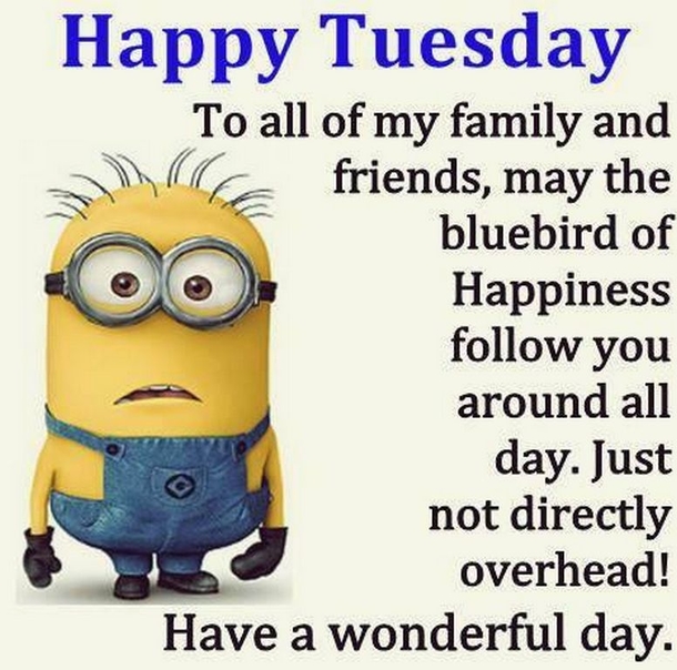 10 Lovely Tuesday Quotes That'll Make Your Day Feel Awesome - picture 14