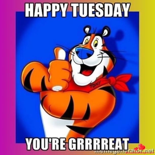 10 Lovely Tuesday Quotes That'll Make Your Day Feel Awesome - picture 3