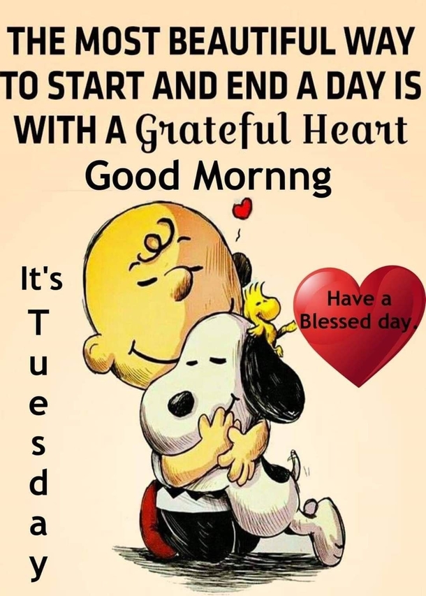 10 Lovely Tuesday Quotes That'll Make Your Day Feel Awesome - picture 7