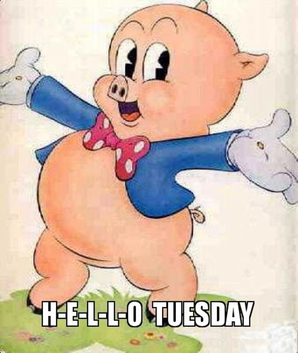 10 Lovely Tuesday Quotes That'll Make Your Day Feel Awesome - picture 8