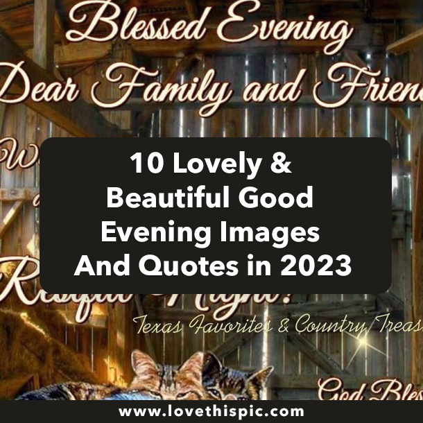 10 Lovely & Beautiful Good Evening Images And Quotes in 2023