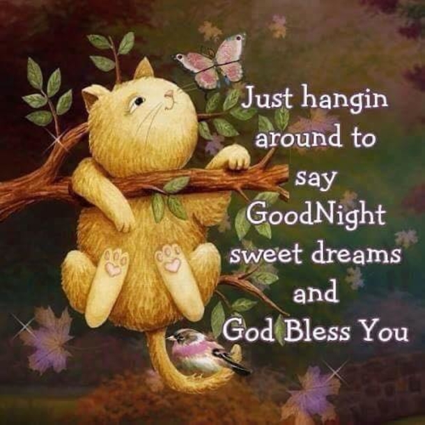10 Lovely & Beautiful Good Evening Images And Quotes in 2023 - picture 3