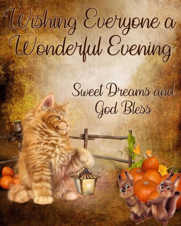 10 Lovely & Beautiful Good Evening Images And Quotes in 2023 - picture 4