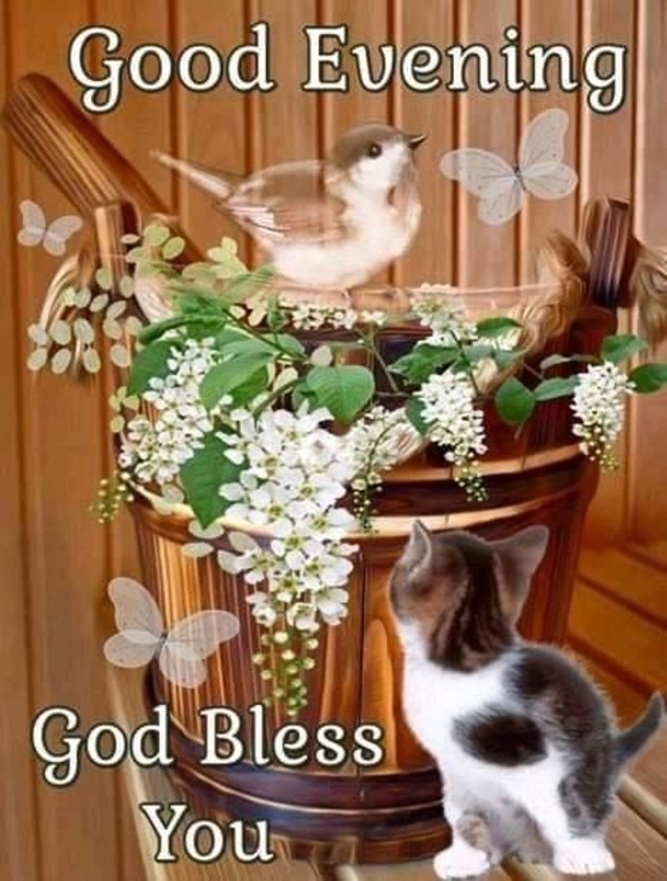 10 Lovely & Beautiful Good Evening Wishes To End Your Night - picture 10