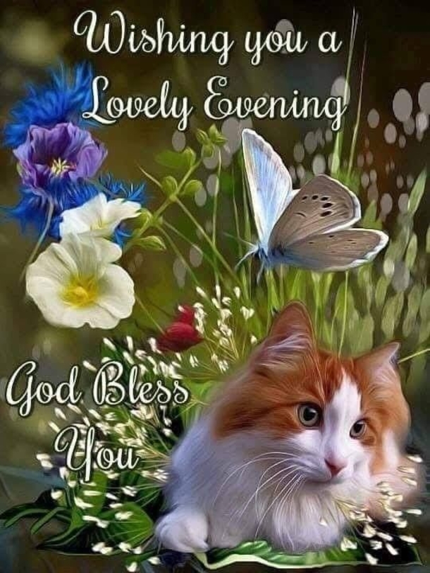 10 Lovely & Beautiful Good Evening Wishes To End Your Night - picture 3