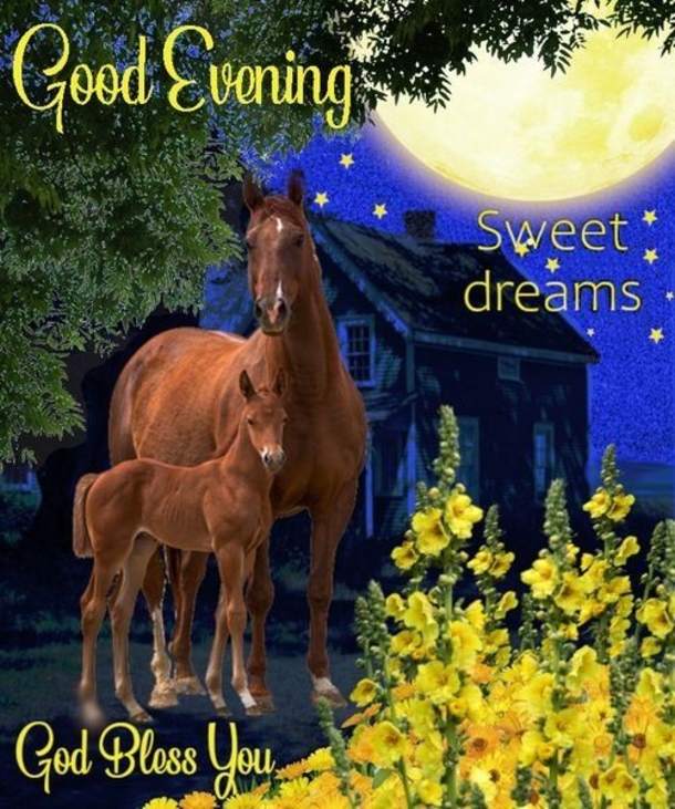10 Lovely & Beautiful Good Evening Wishes To End Your Night - picture 9