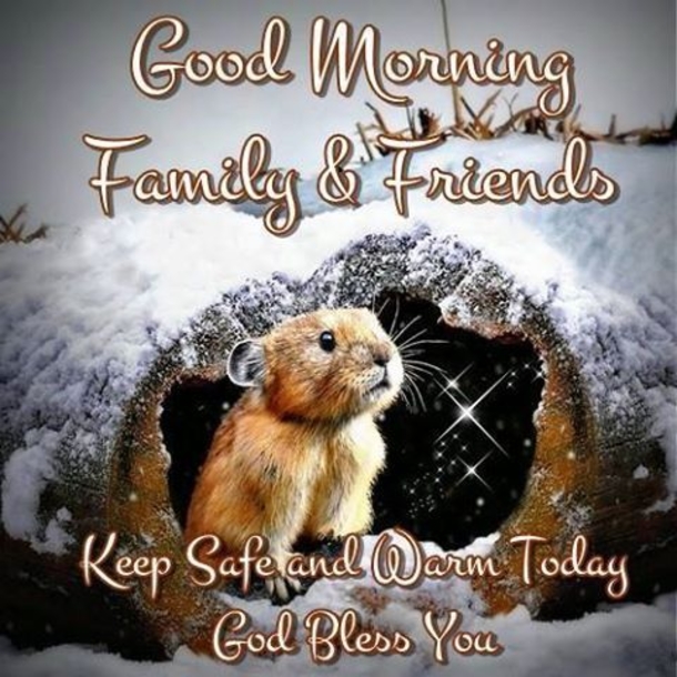 10 Lovely & Blessed Good Morning Quotes - picture 10