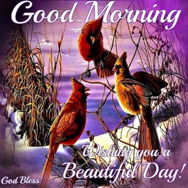 10 Lovely & Blessed Good Morning Quotes - picture 3