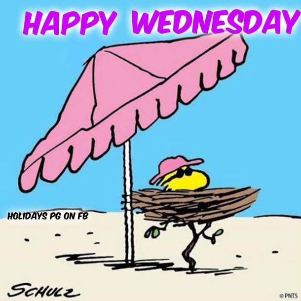 10 Lovely & Inspiring Wednesday Quotes To Bring Positivity To Your Day - picture 6