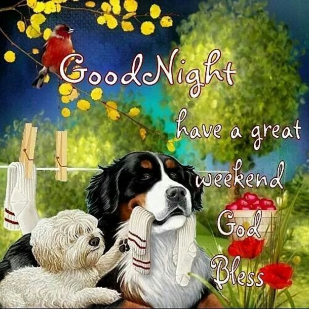 10 Lovely & Sweet Good Night Pictures With Quotes - picture 5