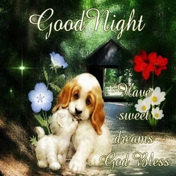 10 Lovely & Sweet Good Night Pictures With Quotes - picture 6