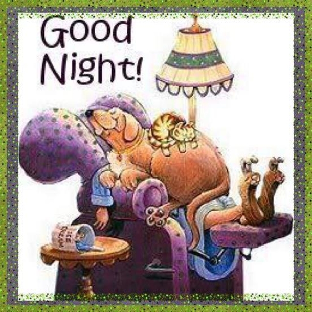 10 Loving Good Night Quotes To End Your Night - picture 10