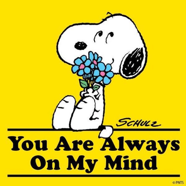 10 Loving Quotes To Let The Ones You Know They're On Your Mind - picture 9