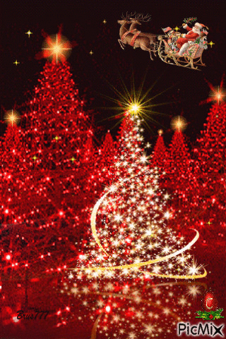10 Magical Christmas Tree Animations - picture 4