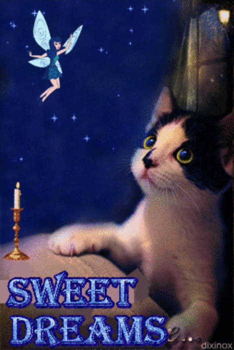 10 Magical Good Night Animated Quotes - picture 9