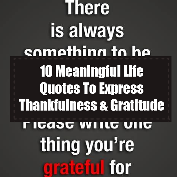 10 Meaningful Life Quotes To Express Thankfulness & Gratitude