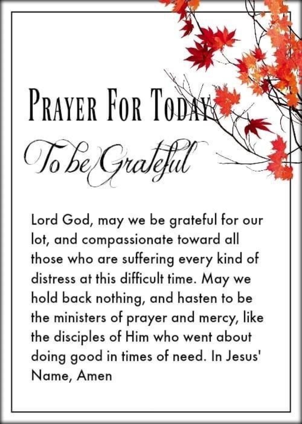 10 Meaningful Life Quotes To Express Thankfulness & Gratitude - picture 2
