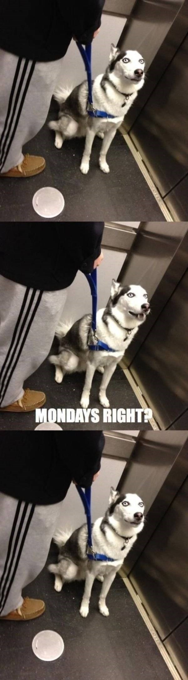 10 Memes About Work That We Can All Agree On - picture 3