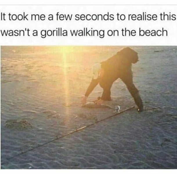 10 Memes Daily To Make Your Day Funnier - picture 5
