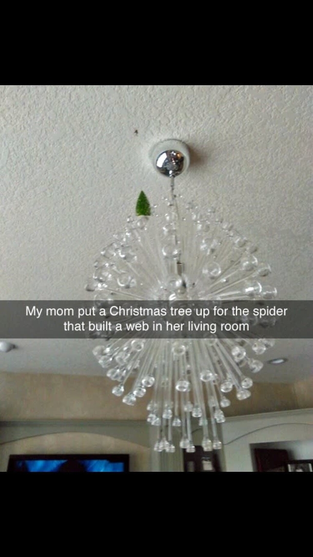 10 Memes For Christmas To Make You Warm And Fuzzy Inside - picture 5