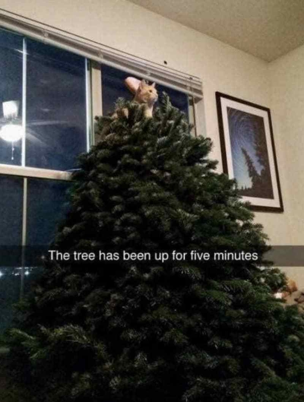 10 Memes For Christmas To Make You Warm And Fuzzy Inside - picture 7