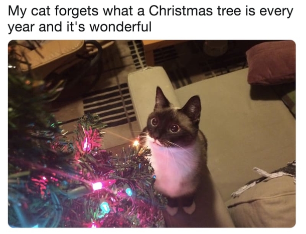 10 Memes For Christmas To Make You Warm And Fuzzy Inside - picture 9