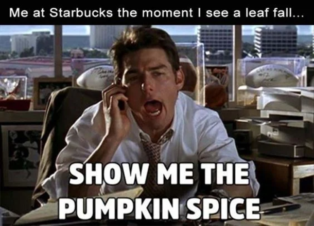 10 Memes For Everyone Who's Excited For Fall - picture 11