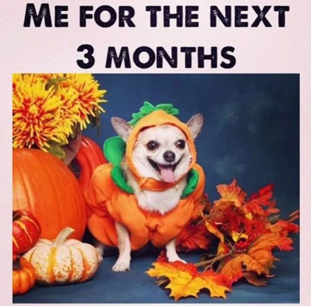 10 Memes For Everyone Who's Excited For Fall - picture 8
