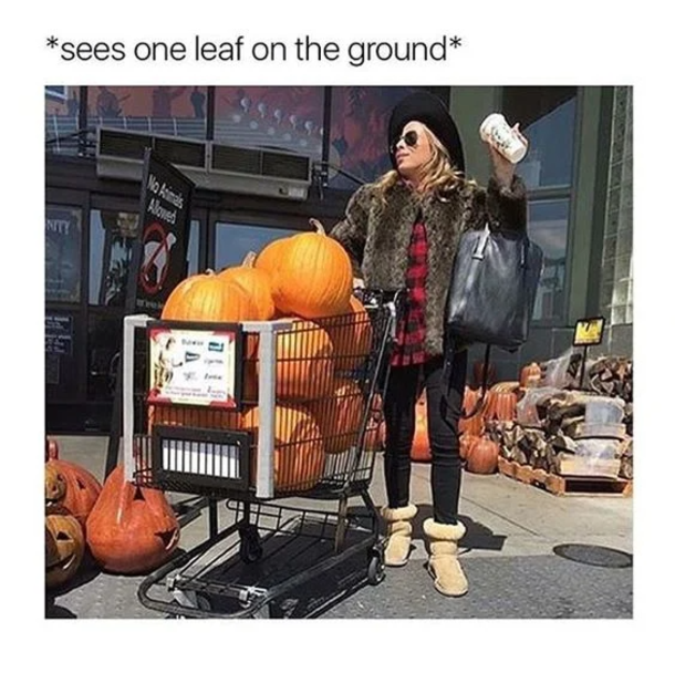 10 Memes For Everyone Who's Excited For Fall - picture 9