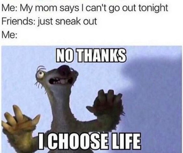 10 Memes For Girls That Are So Funny But True - picture 2