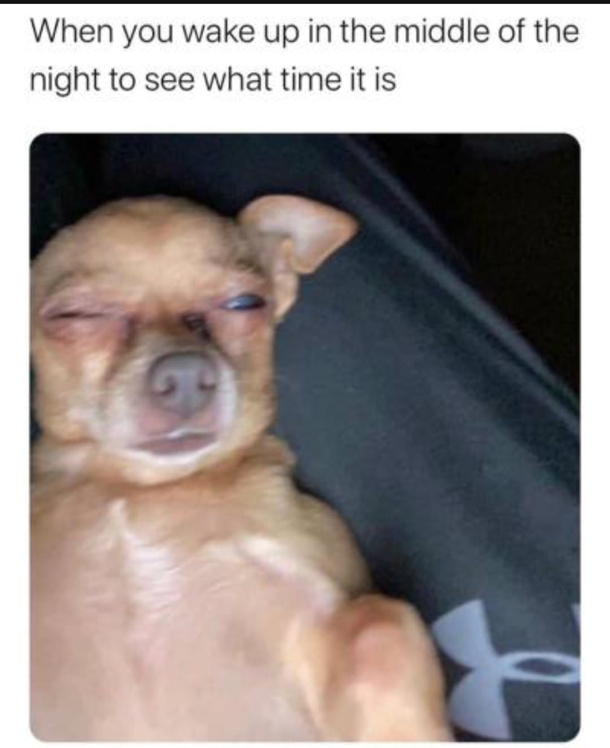 10 Memes For The Day That Will Have You Smiling Nonstop - picture 6