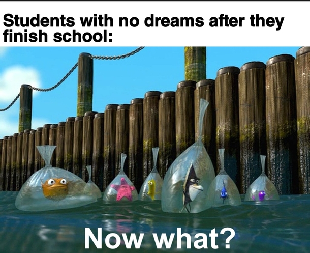 10 Memes Of The Day That Would Make Anyone Laugh - picture 3