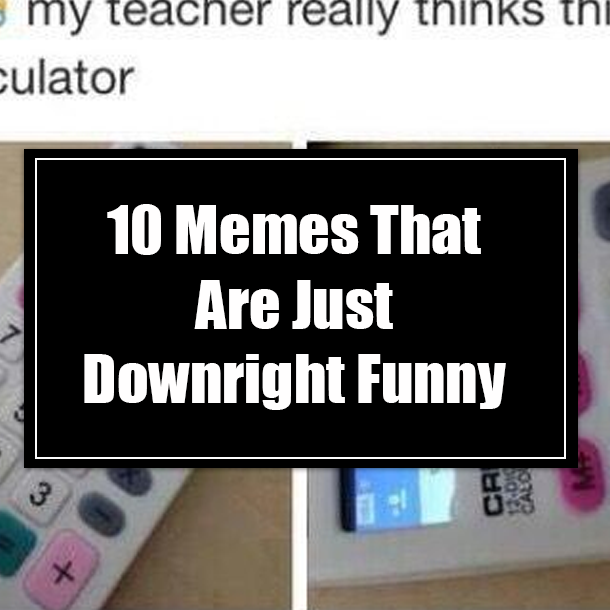 10 Memes That Are Just Downright Funny