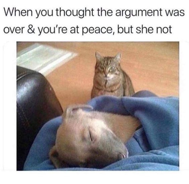 10 Memes That Are Just Downright Funny - picture 9