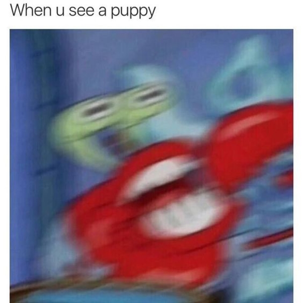 10 Memes That Are So Real That You Have To Agree - picture 11