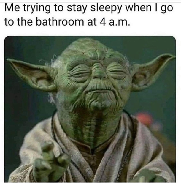 10 Memes That Are Too Silly To Ignore - picture 6