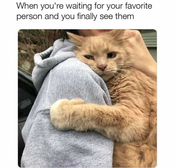 10 Memes That Perfectly Sum Up Love & Relationships - picture 5